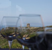 Torre Hotel Arbus